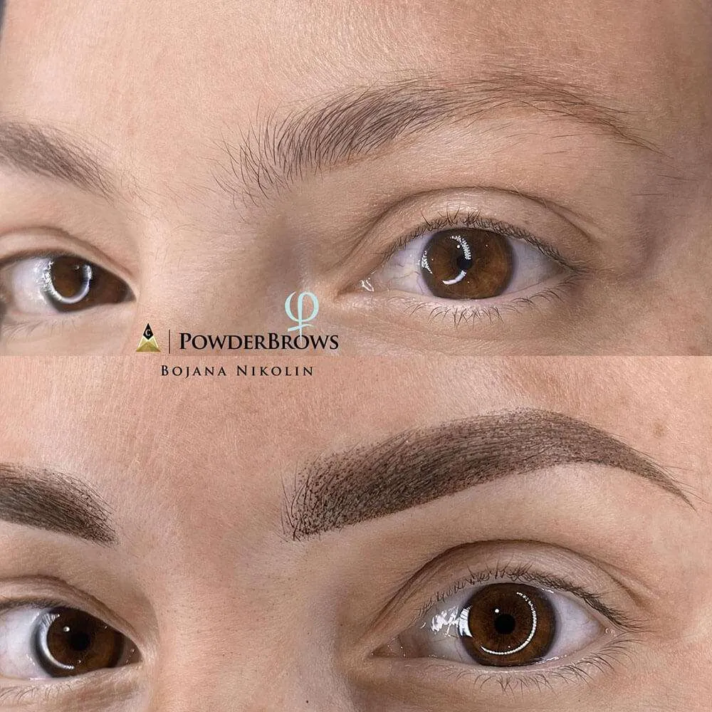 ombre powder brows training